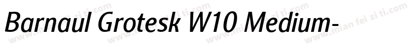 Barnaul Grotesk W10 Medium字体转换